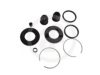 AUTOFREN SEINSA D4419 Repair Kit, brake caliper